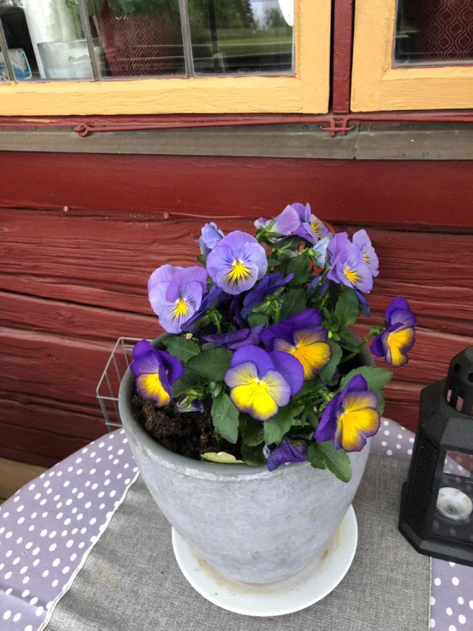 Mysigt Boende I Raettvik Med Utsikt Oever Siljan Rättvik Exterior foto