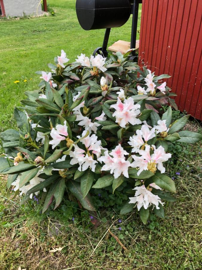 Mysigt Boende I Raettvik Med Utsikt Oever Siljan Rättvik Exterior foto