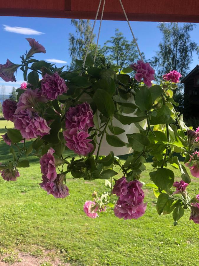 Mysigt Boende I Raettvik Med Utsikt Oever Siljan Rättvik Exterior foto