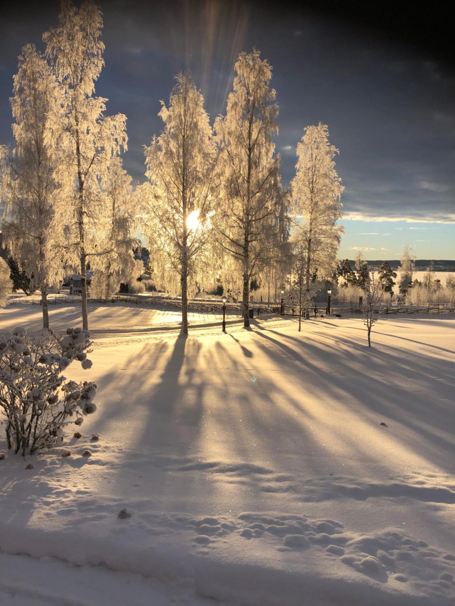 Mysigt Boende I Raettvik Med Utsikt Oever Siljan Rättvik Exterior foto
