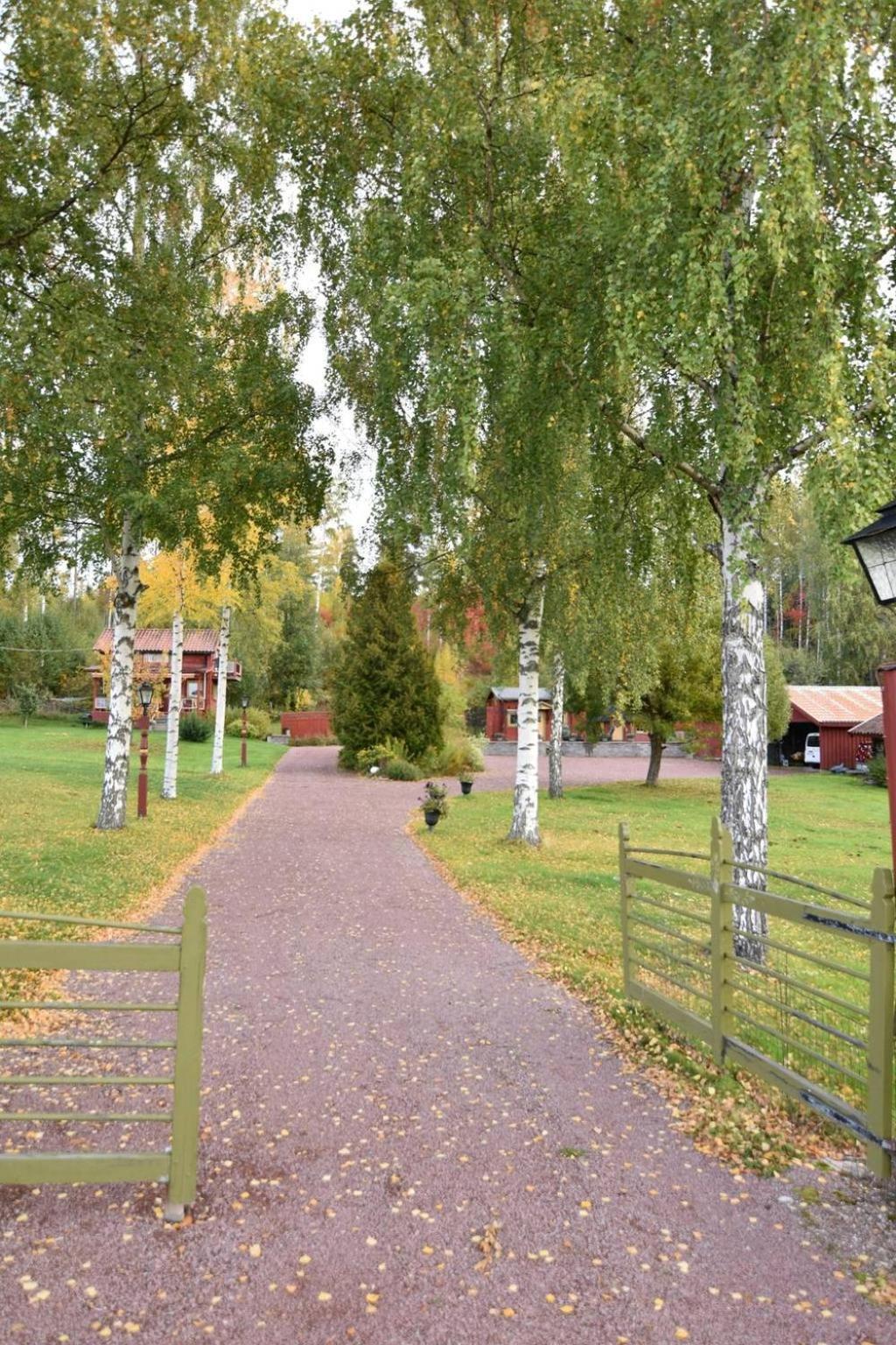 Mysigt Boende I Raettvik Med Utsikt Oever Siljan Rättvik Exterior foto